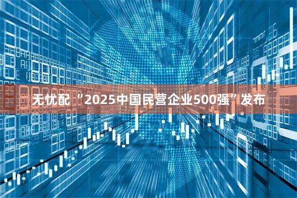 无忧配 “2025中国民营企业500强”发布