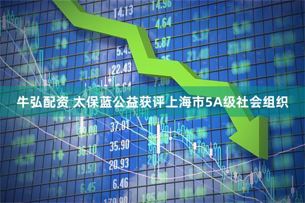 牛弘配资 太保蓝公益获评上海市5A级社会组织
