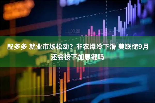 配多多 就业市场松动？非农爆冷下滑 美联储9月还会按下加息键吗